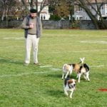 photo of Matt with beagles
