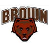 Brown Bear Icon