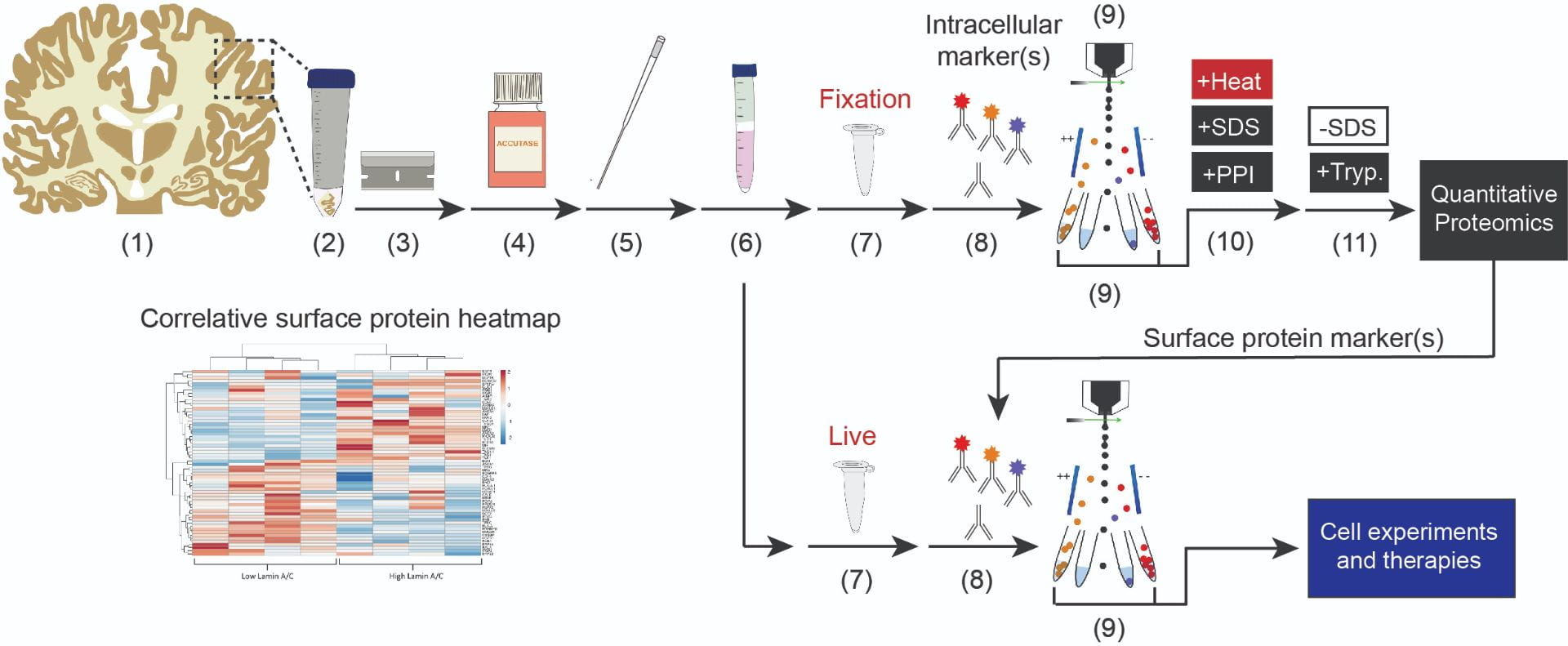 FITSAR methodology image for biomarker identification