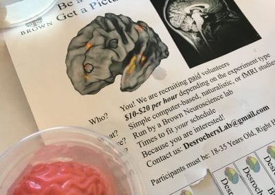 Brain & Flyer