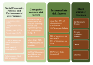 table showing the list of chronic diseases and risk factors in Morocco