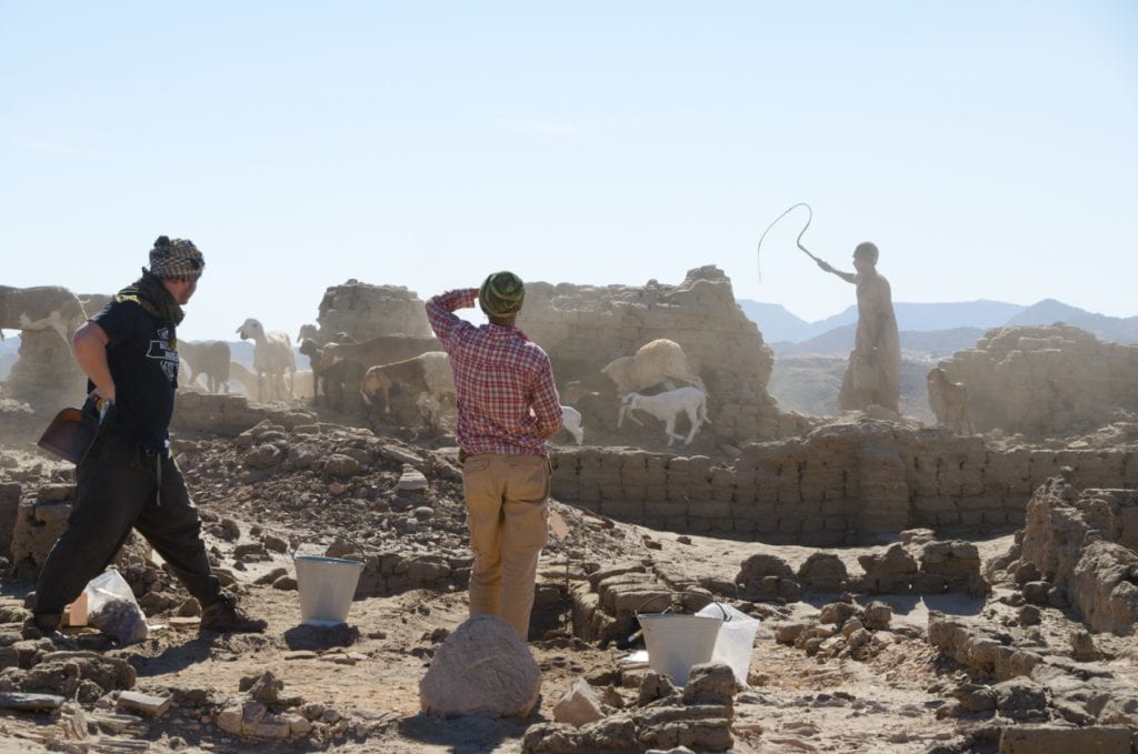 photo of archaeologists pausing in work with low mudbrick walls near, a higher wall in background, and a goatherd cracking a whip and driving a flock of goats in between